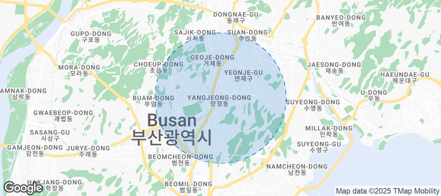 Discover Busan Airbnb Analytics